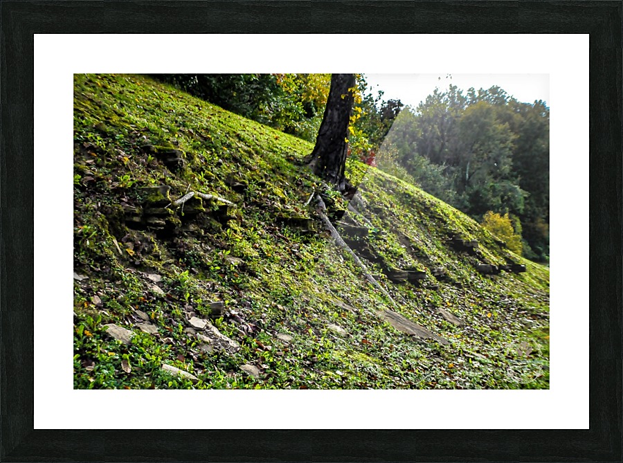 DSC_0949 Picture Frame print