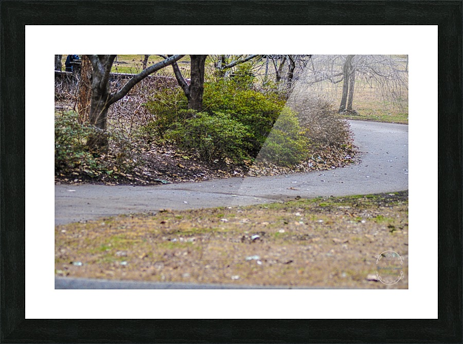 Morning Run Picture Frame print