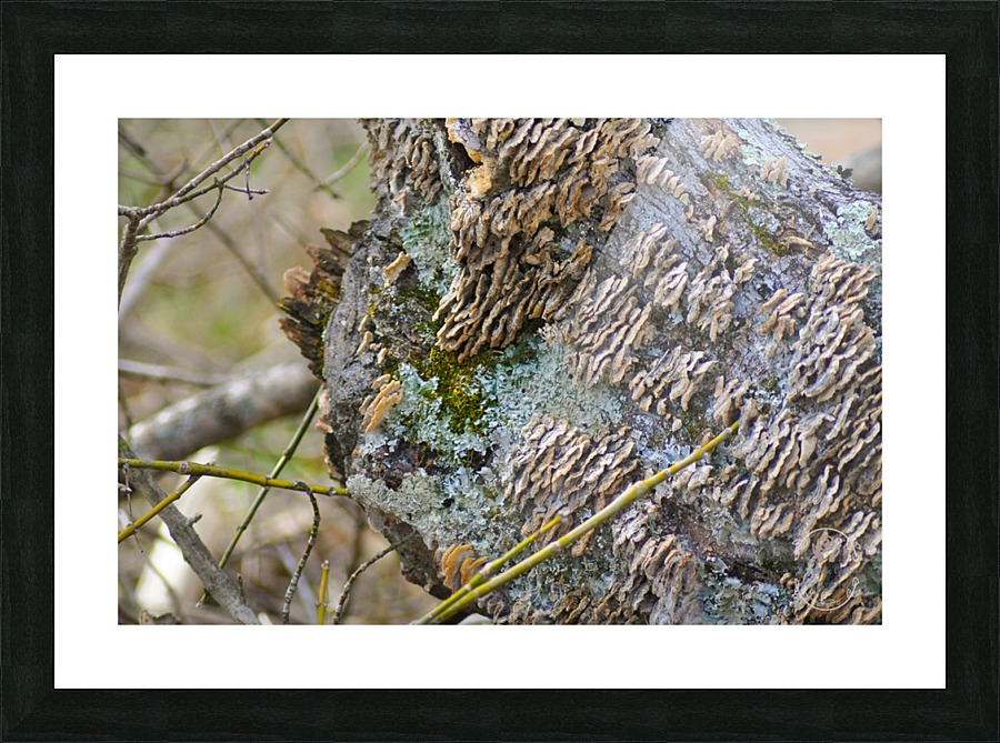 Layers Picture Frame print