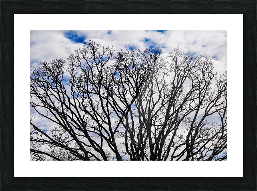 Clear skys Picture Frame print