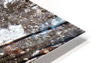 Still Moss HD Metal print