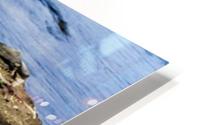Strength Beneath HD Metal print