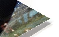 Secret Tunnel HD Metal print