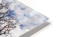 Clear skys HD Metal print