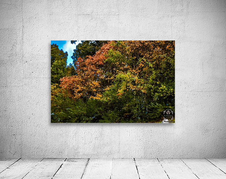 Nature in Fall Wall Preview
