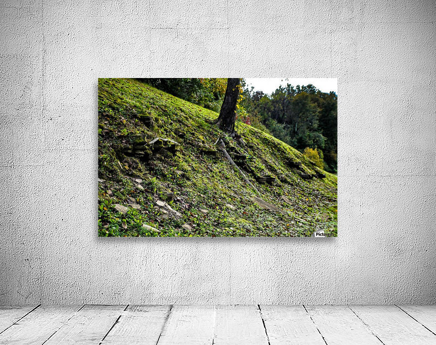 DSC_0949 Wall Preview