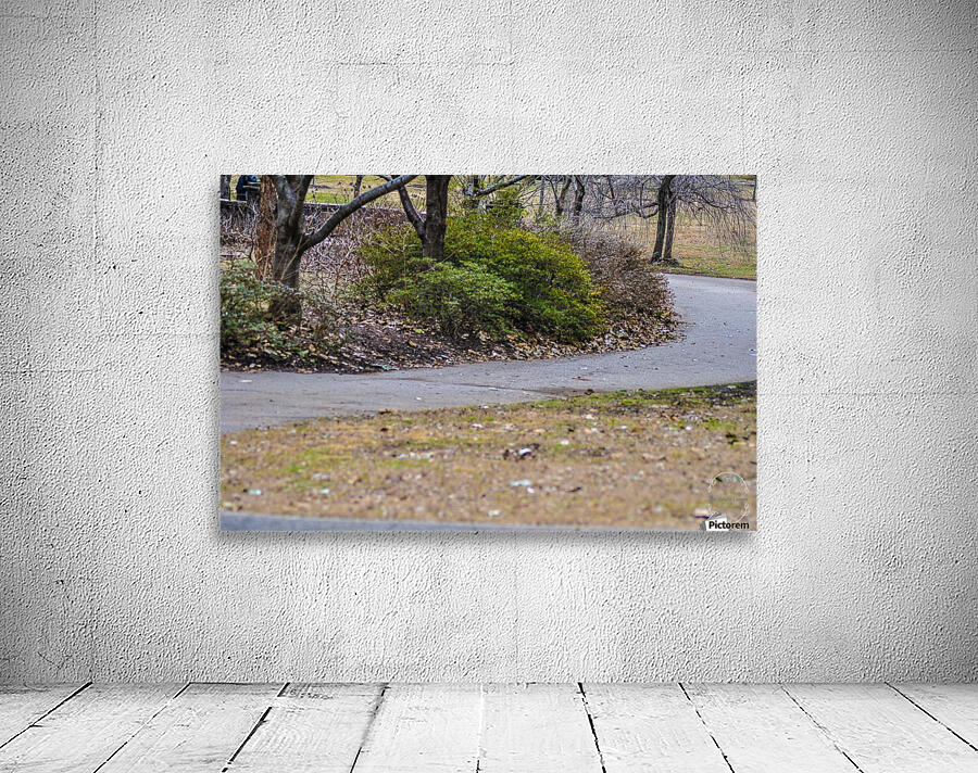 Morning Run Wall Preview