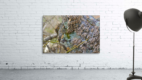 Layers Wall Preview