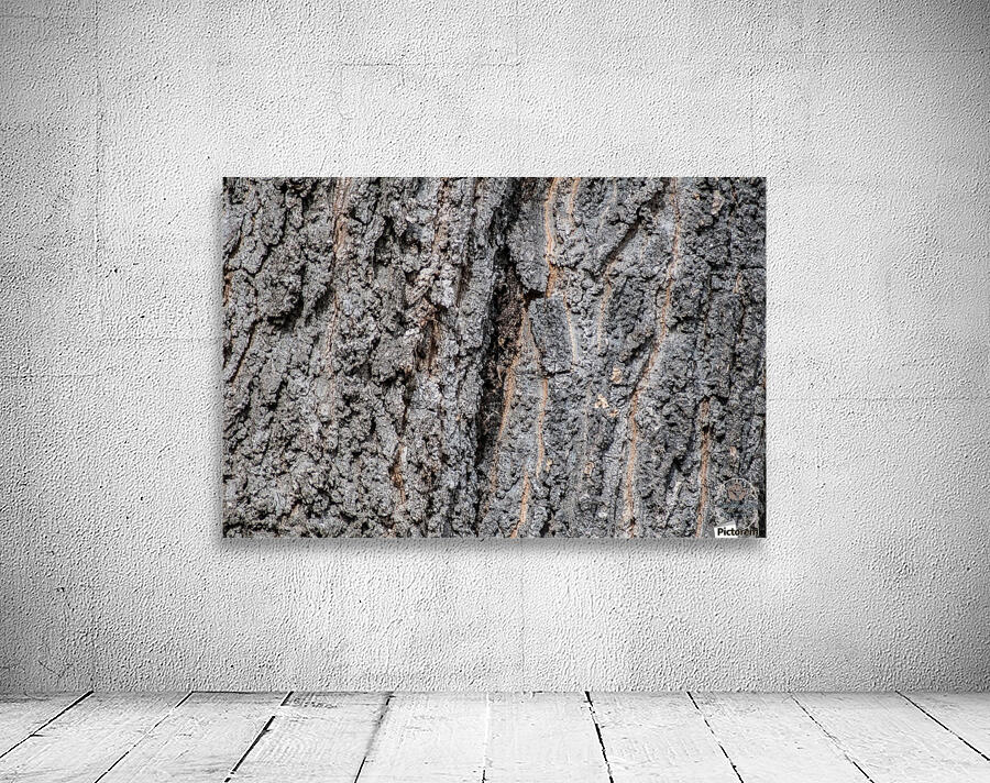 Age Old Scars Wall Preview