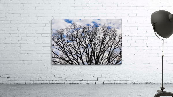 Clear skys Wall Preview