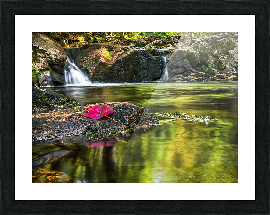 FEUILLE D AUTOMNE Picture Frame print