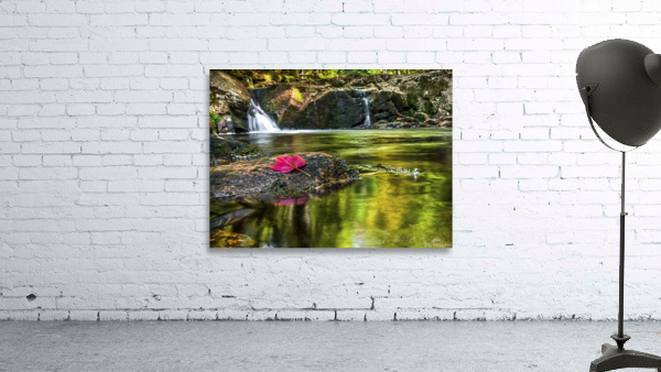 FEUILLE D AUTOMNE Wall Preview