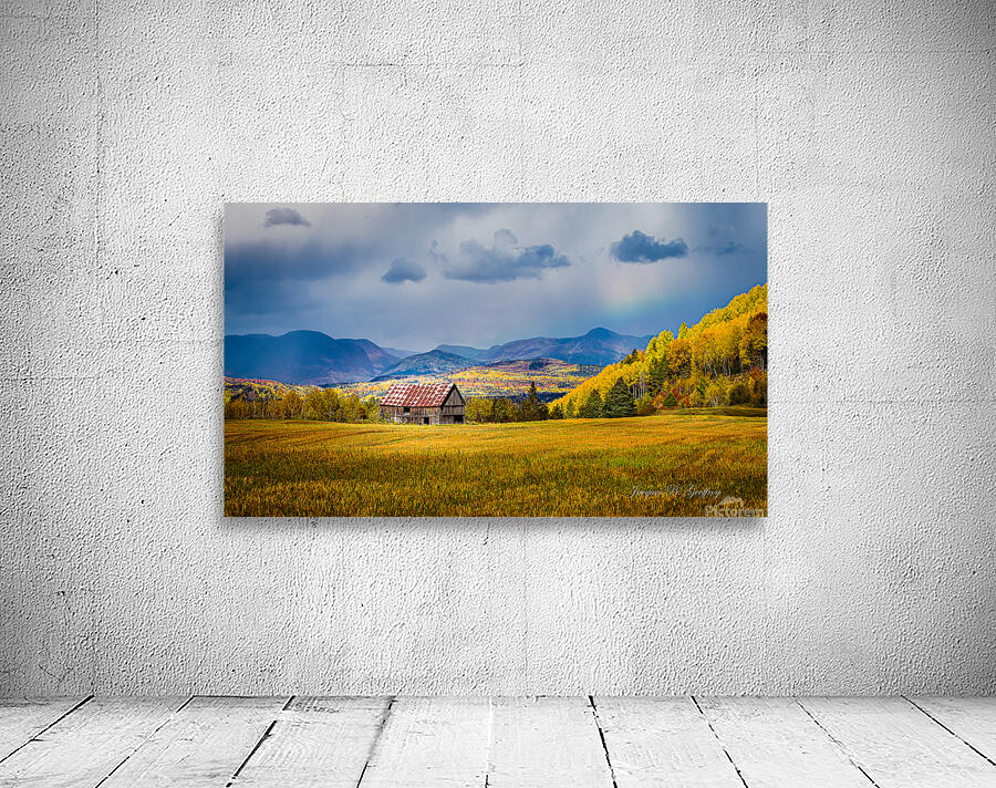THE OLD BARN Wall Preview