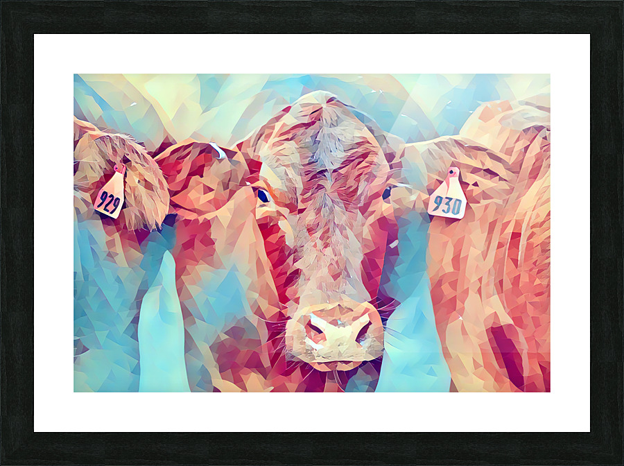 Red Brangus Poly Art Picture Frame Printing