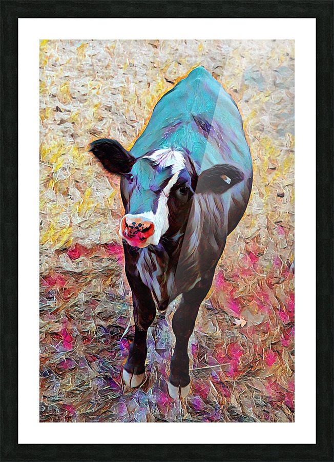 Blaze Face Calf  Picture Frame Printing