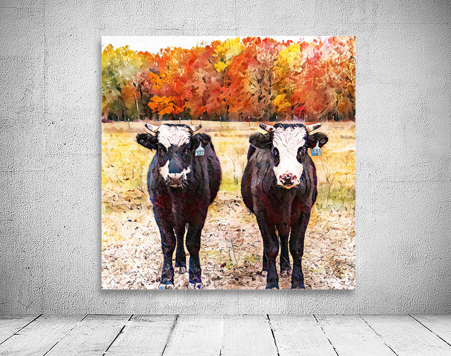 Two Steers Wall Preview
