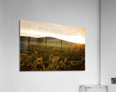 Olivier St-onge 3 Acrylic Print