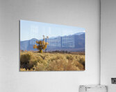 Olivier St-onge 8 Acrylic Print