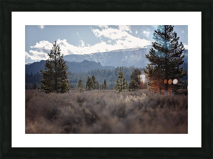 Olivier St-onge 9 Picture Frame print
