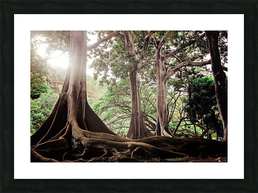 Olivier St-onge 2 Picture Frame print