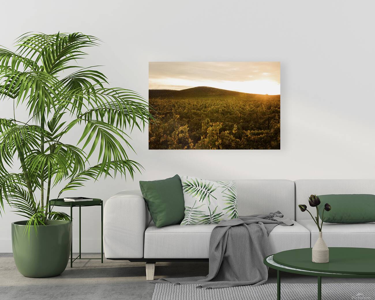 Olivier St-onge 3 Reproduction