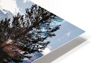 Olivier St-onge 9 HD Metal print
