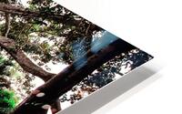 Olivier St-onge 2 HD Metal print