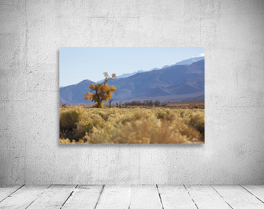 Olivier St-onge 8 Wall Preview