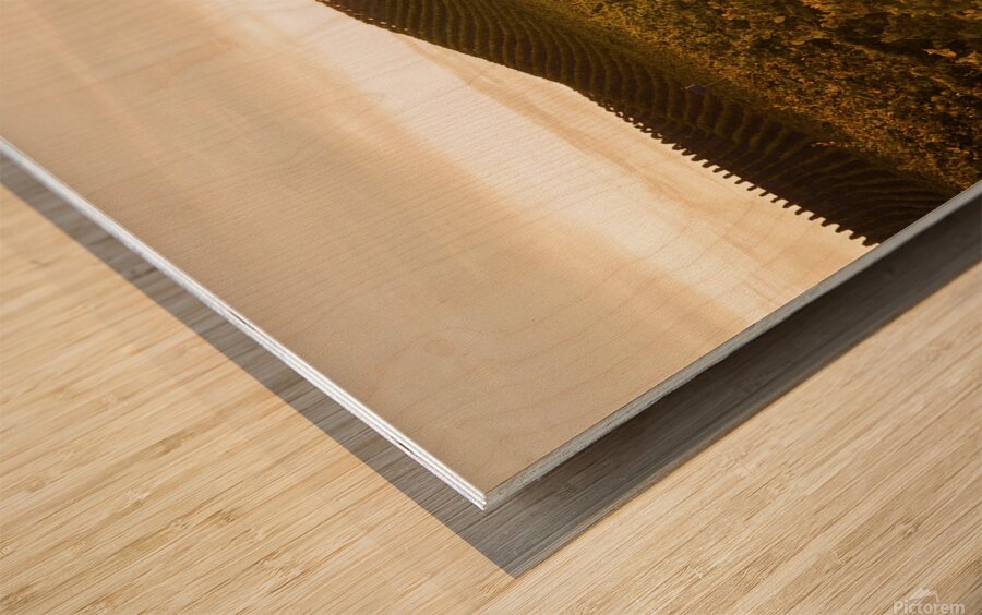 Olivier St-onge 3 Wood print