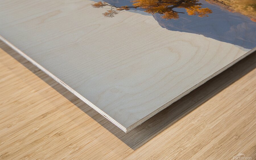 Olivier St-onge 8 Wood print