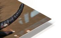 Fingerfiend HD Metal print