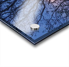 Peek a boo moon Acrylic print