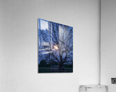 Peek a boo moon Acrylic Print