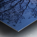 Peek a boo moon Metal print