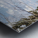 Alexandria Park in Northwest Territories  Metal print