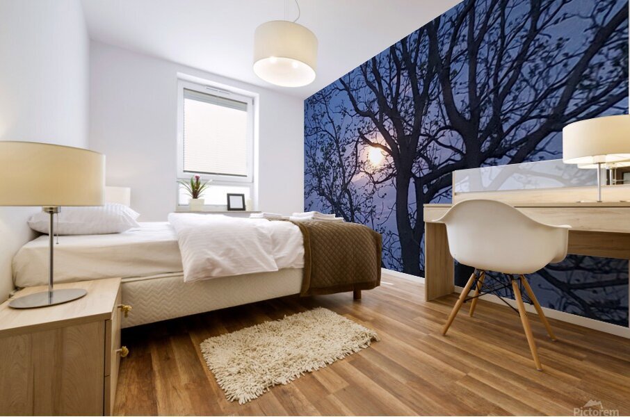 Peek a boo moon Mural print