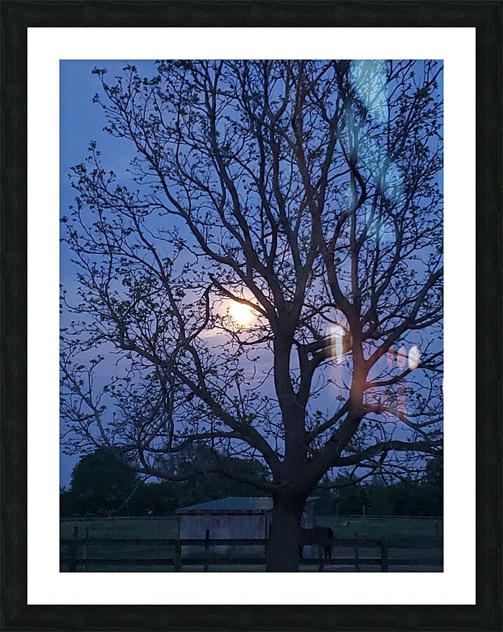 Peek a boo moon Picture Frame print