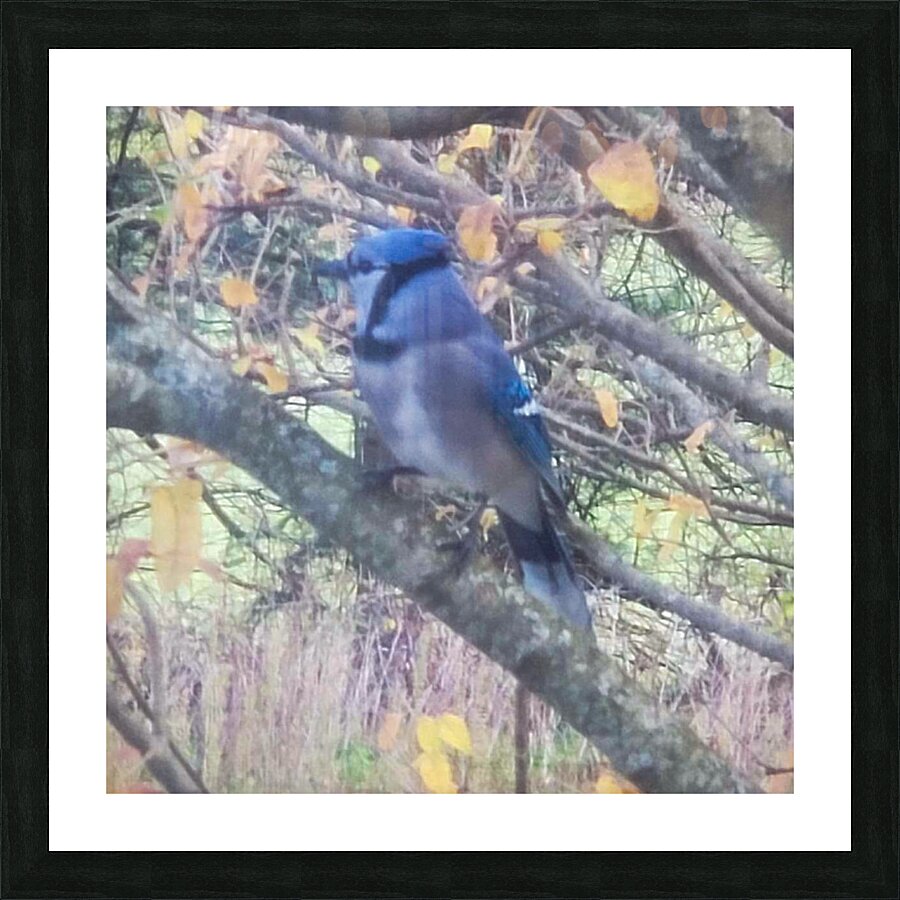 Keeping watch Picture Frame print