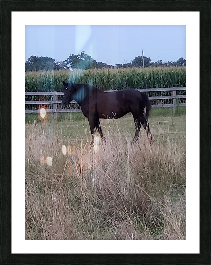 Bella Picture Frame print