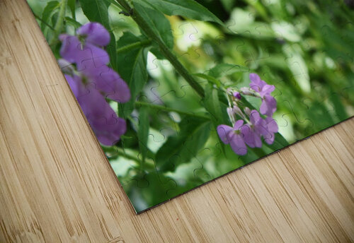 Sleeping Bee Pamela Lougheed Photography puzzle