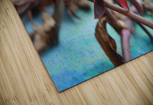 Cuba pink cup flower Pamela Lougheed Photography puzzle