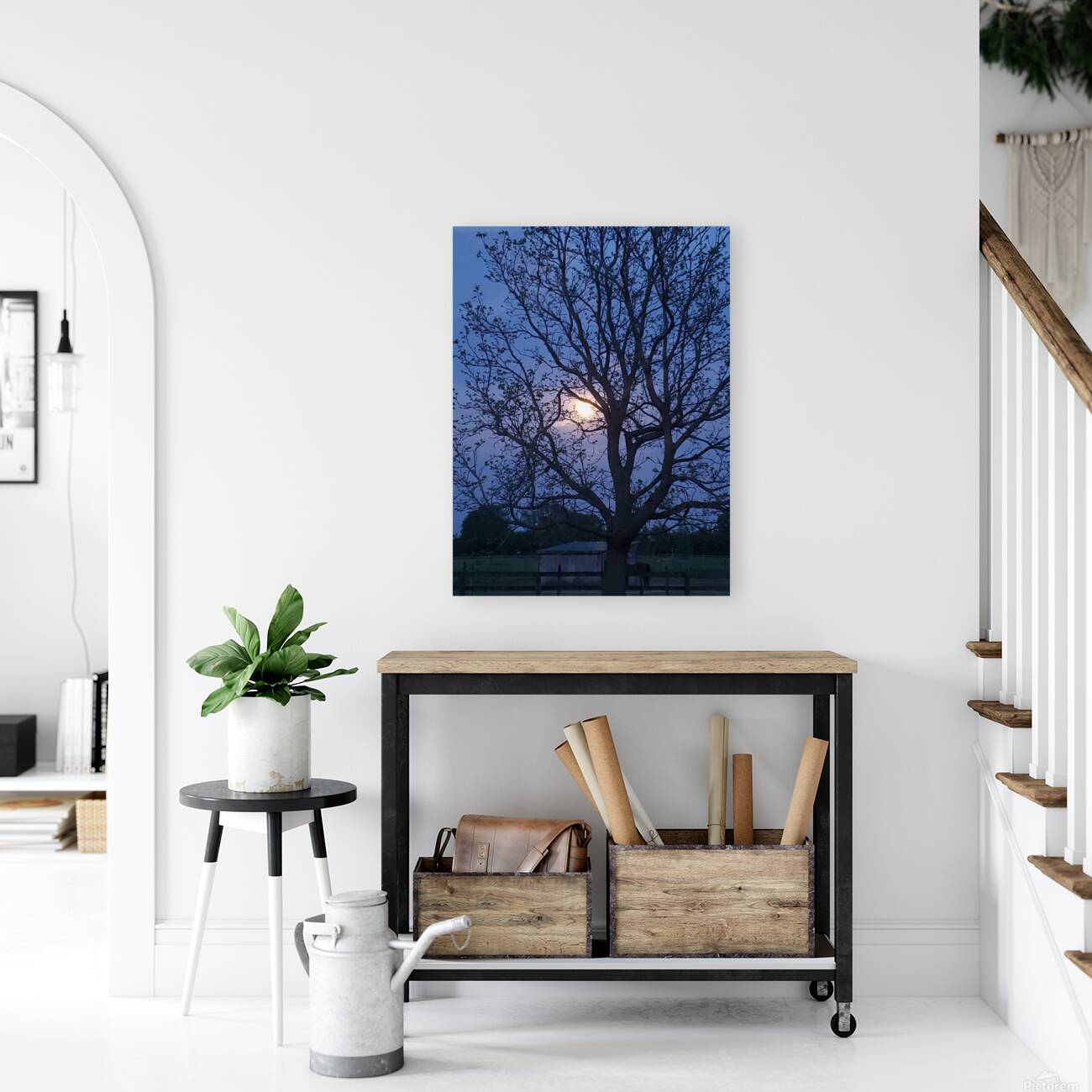 Peek a boo moon Reproduction