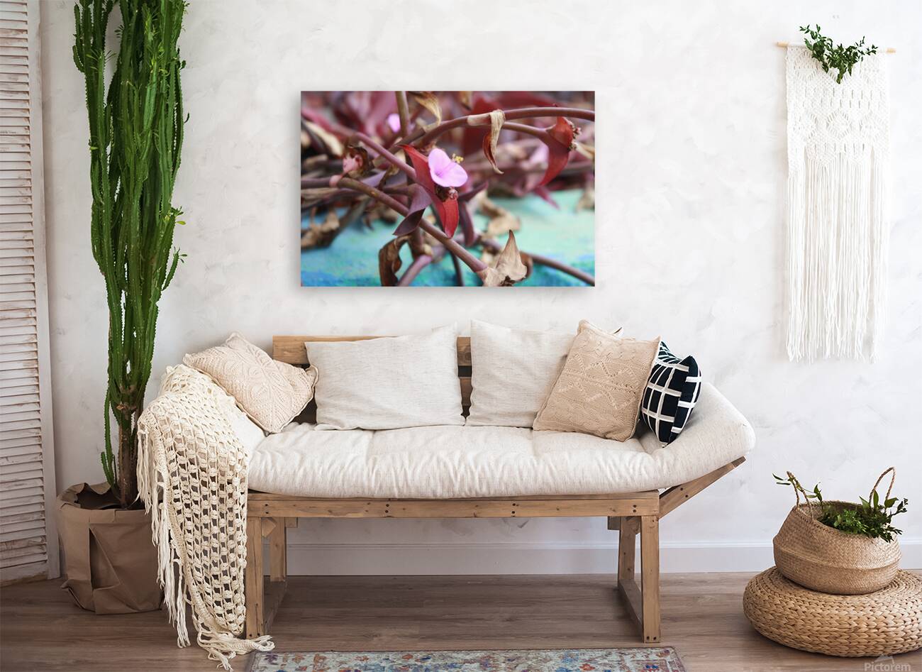 Cuba pink cup flower Reproduction