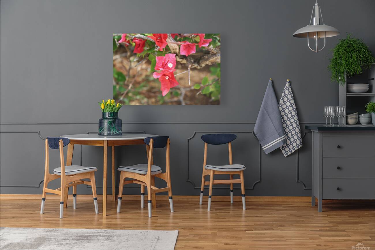 Cuba red flower Reproduction