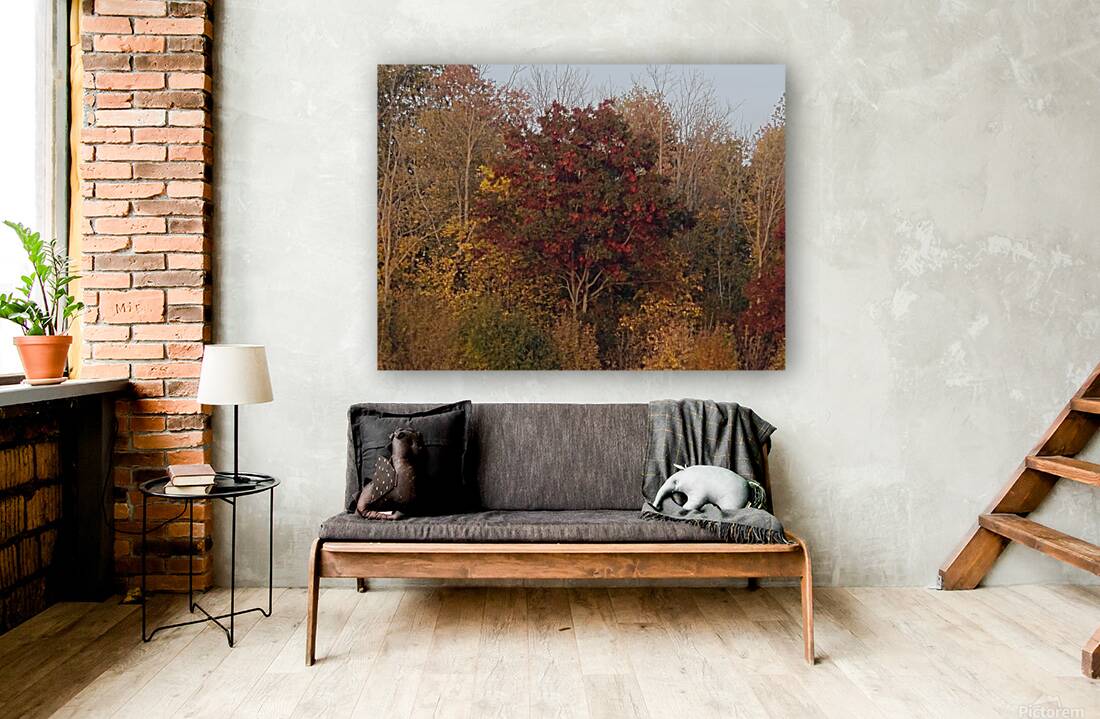 Autumn Maple tree  Reproduction