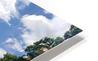 Calming spring waters HD Metal print