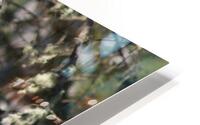 Flight ready HD Metal print