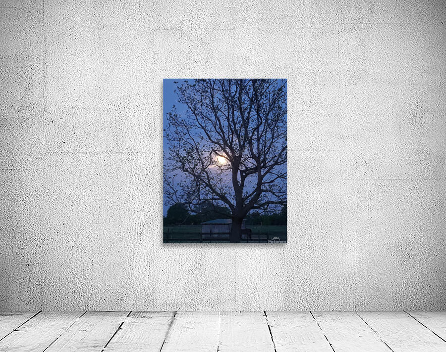 Peek a boo moon Wall Preview