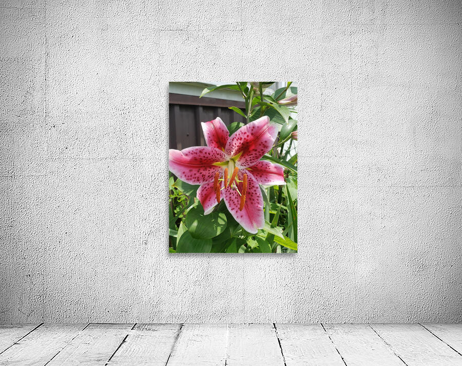 Bee delight Wall Preview