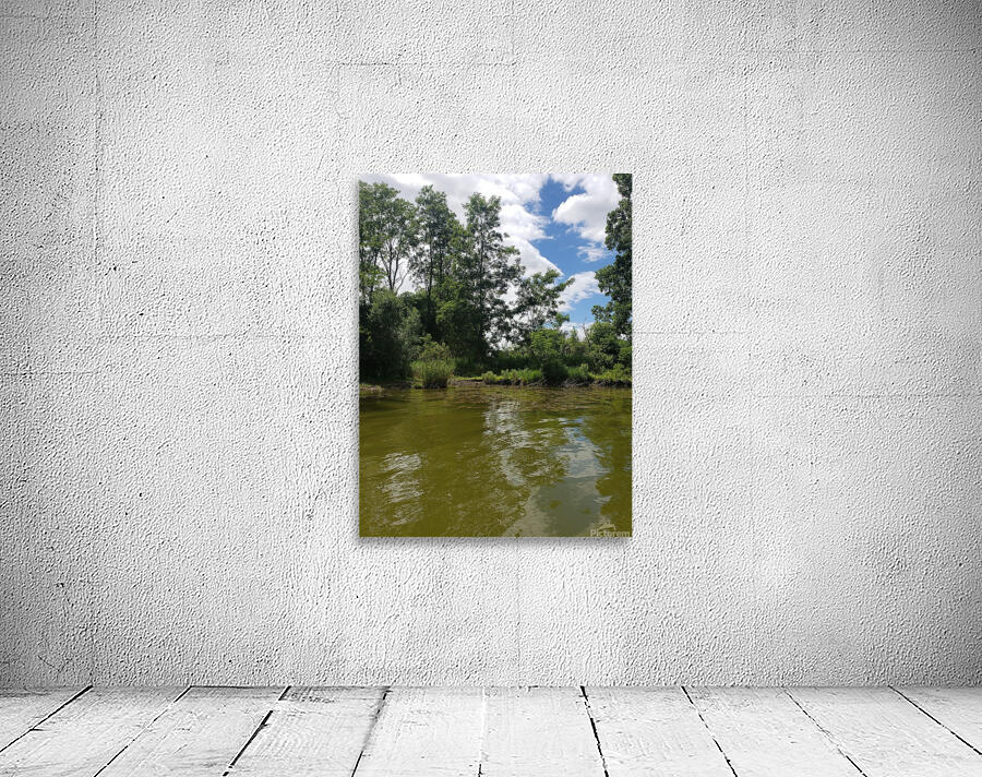 Calming spring waters Wall Preview
